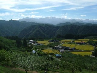 一番好きな風景