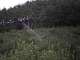 台風が来る予定だったが・・・