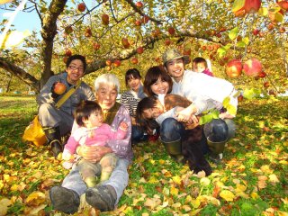 蜜たっぷり　　　　　サンふじ　収穫中！