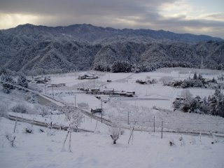 久しぶりの大雪！