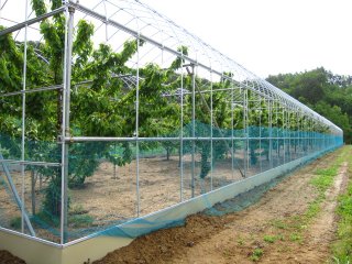 中川村農産物加工施設「つくっチャオ」