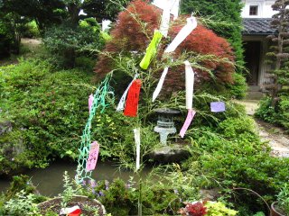 天の中川村で七夕へ願い事！