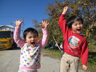 南信州産　完熟ふじ　収穫中！　（今年も蜜たっぷりです）　