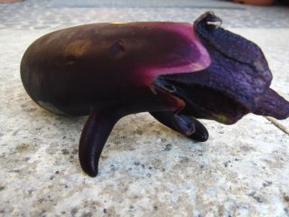 ナスです。