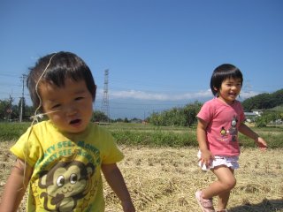 田んぼの秋起こし出来ました。