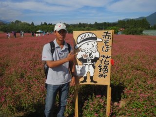 赤ソバまつり開園中！