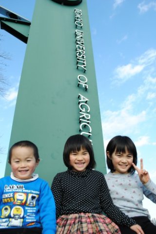 初詣　ディズニーシー　東京農業大学農学部　厚木キャンパス　嫁さんの実家京都へ！