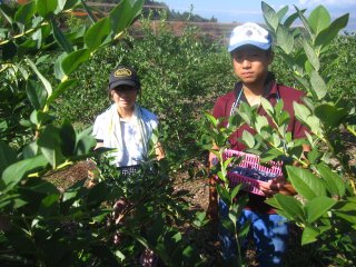 下伊那農業高校から研修生が来てました。