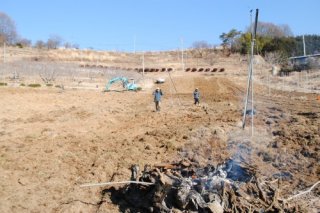 りんご畑　開墾中！　高密植栽培　Ｍ９自根　新ワイ化栽培