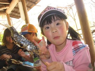 こどもの日
