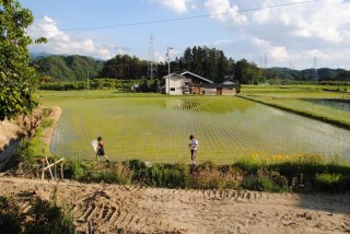 田舎の子供
