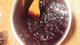 ブルーベリーが最盛期を迎えています。