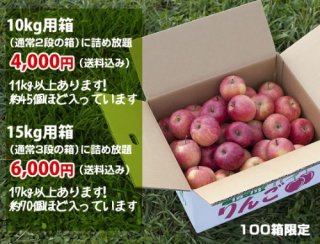 信州くだもの村産　（長野県）　丸かじり小玉サンふじ　お買い得　限定１００箱　蜜入り