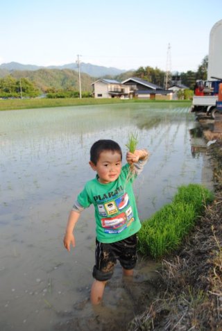 御田植終わりました。