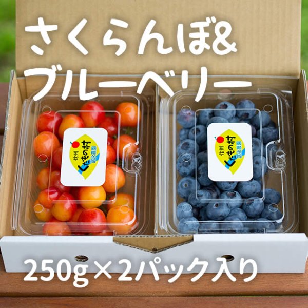 画像1: 贈答さくらんぼ＆ブルーベリーセット (1)