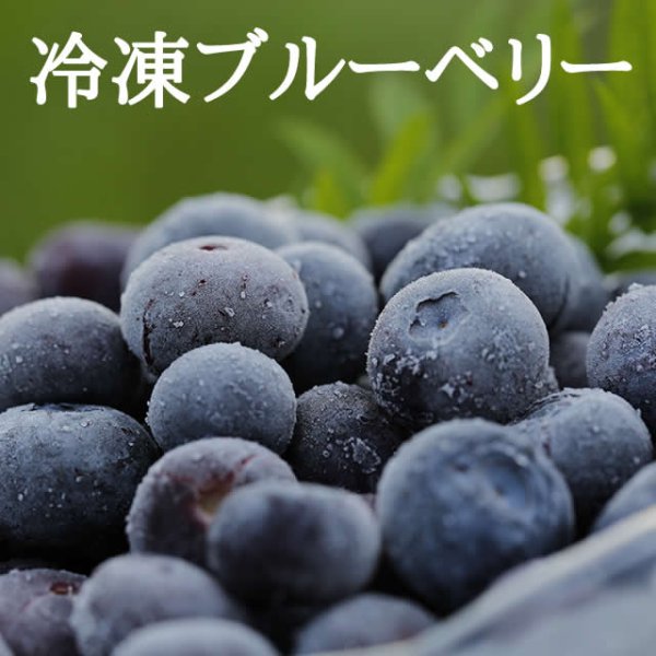 画像1: 冷凍ブルーベリー１kg入り (1)