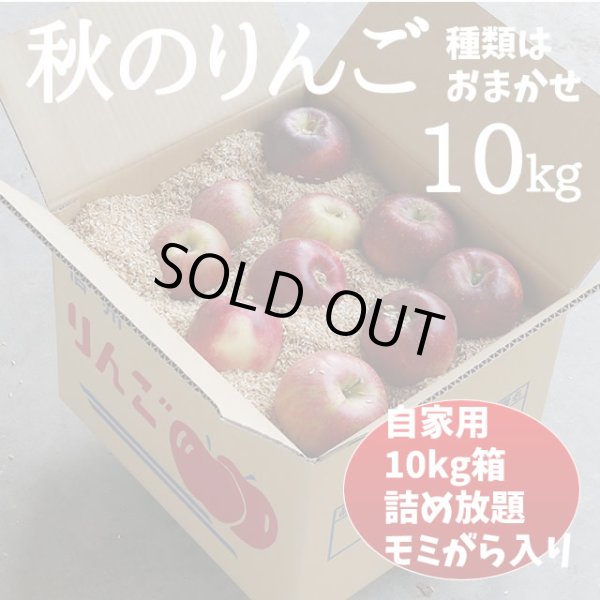 画像1: 秋のりんご 10kg (1)