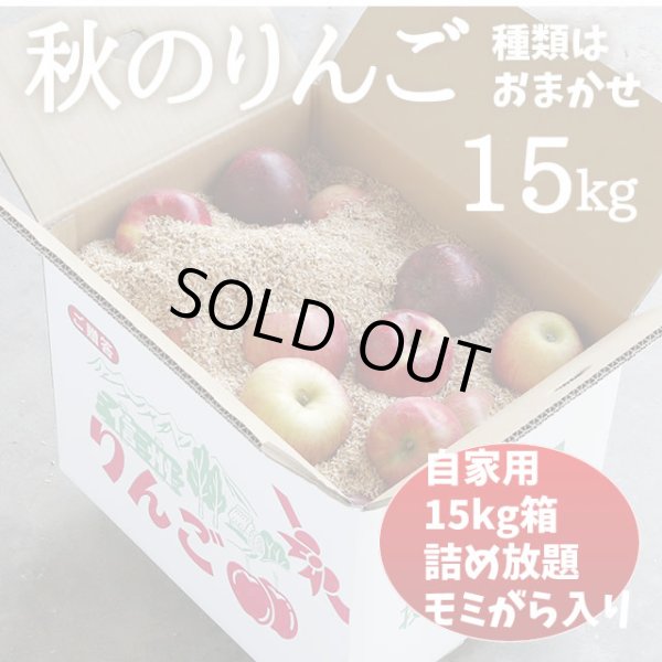 画像1: 秋のりんご 15kg (1)