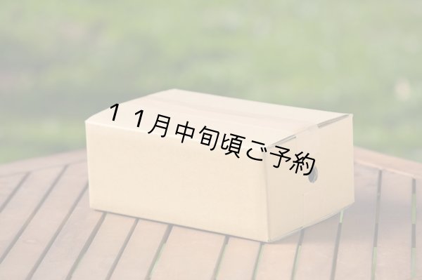 市田柿・贈答用 10パック入り 4.5Kg - 信州くだもの村富永農園