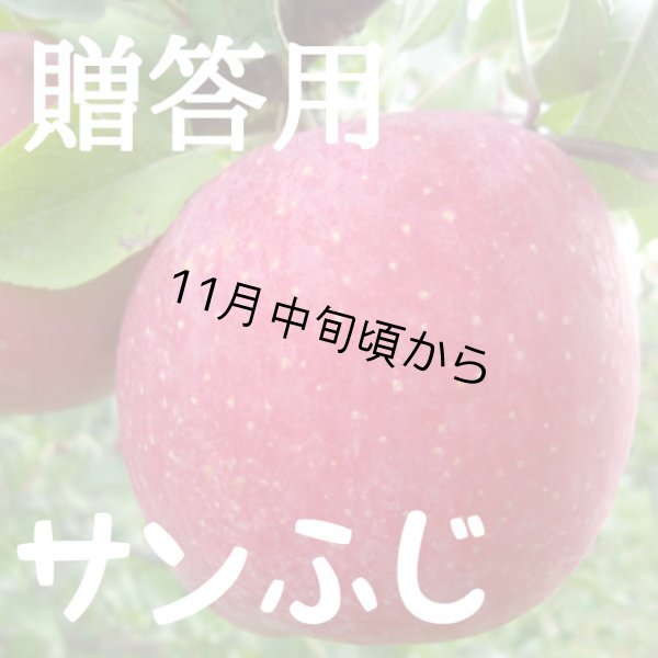 画像2: 贈答用サンふじ 5kg: 大玉 (2)