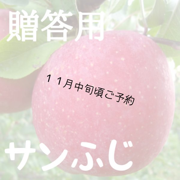 画像1: 贈答用サンふじ 3kg (1)
