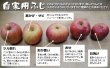 画像2: 自家用サンふじ10kg（モミ殻入り） (2)