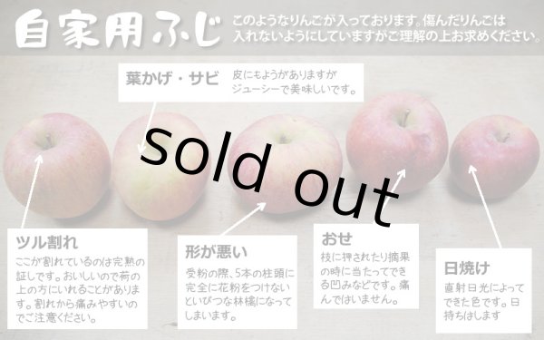 本州宛配送限定　信州産　選べる家庭用 リンゴ約１５キロ 楽天市場】サンふじ 15kgの通販