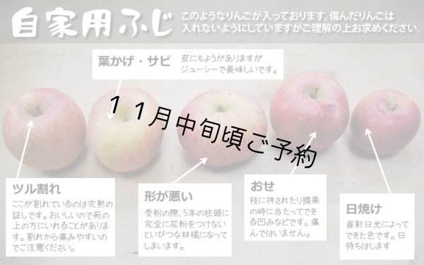 画像2: 自家用サンふじ 15kg（モミ殻入り） (2)