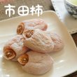 画像2: 市田柿・贈答用 2パック入り 900g (2)