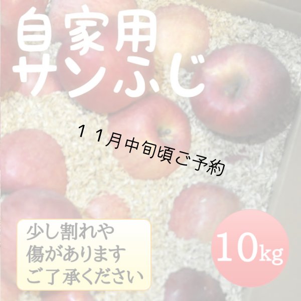 画像1: 自家用サンふじ10kg（モミ殻入り） (1)