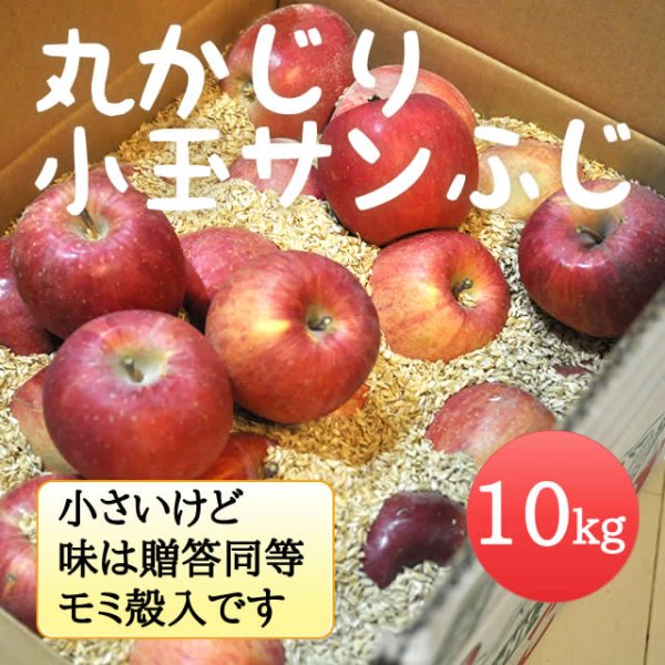画像1: 丸かじり小玉サンふじ 10kg (1)