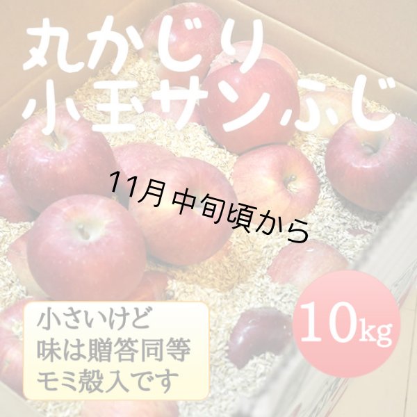 画像1: 丸かじり小玉サンふじ 10kg (1)