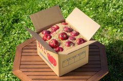 紅玉加工用15kg