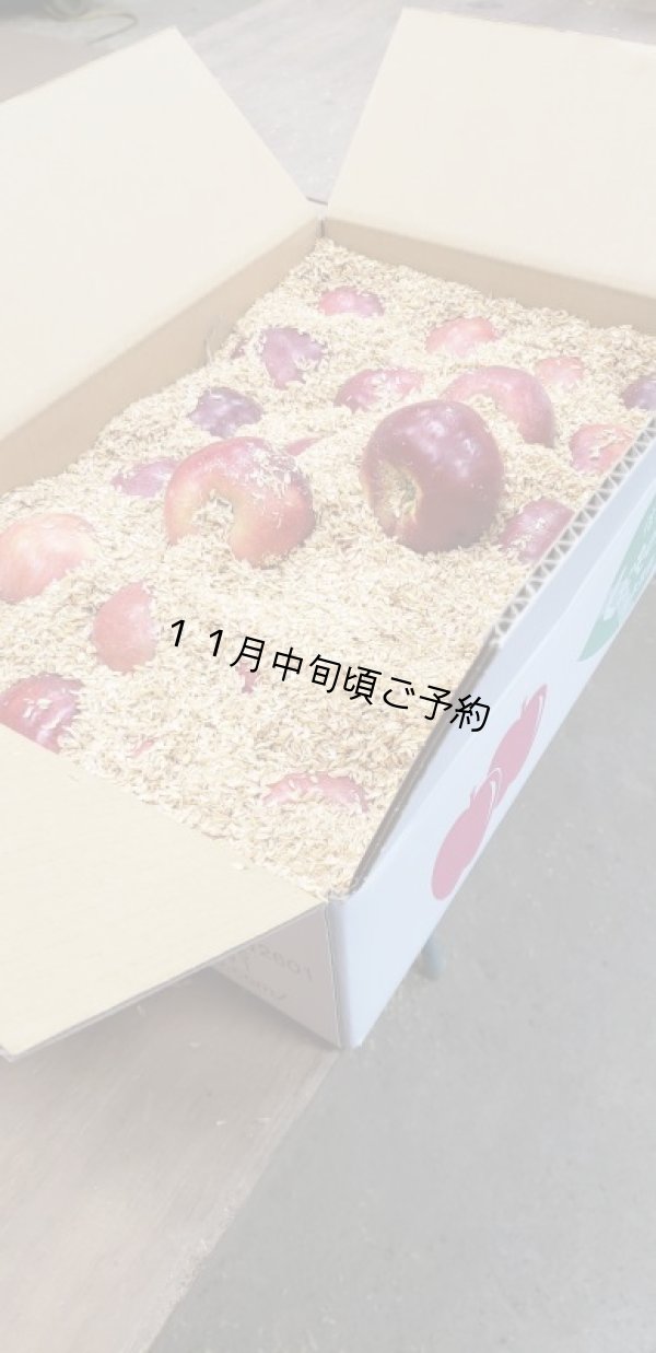 画像1: 自家用サンふじ5kg（もみ殻入り） (1)