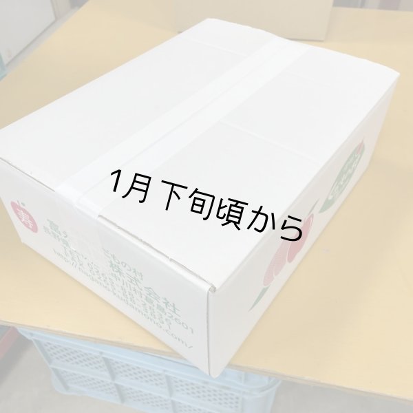 画像3: 富永農園の干し芋バラ詰め4.8ｋｇ (3)