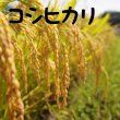 画像2: 陣馬形米［白米］2kg (2)