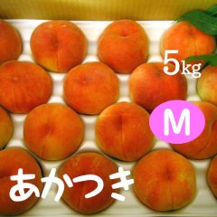あかつき（桃）5kg: M