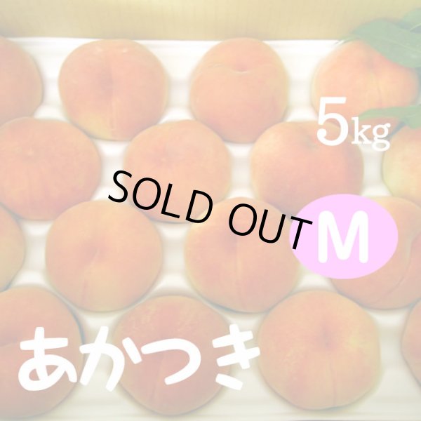 画像1: あかつき（桃）5kg: M (1)