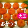 画像1: あかつき（桃）5kg: 大玉 (1)