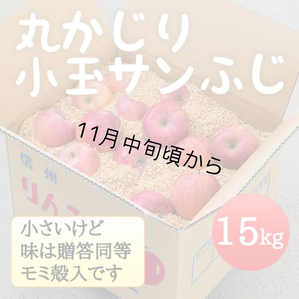 画像1: 丸かじり小玉サンふじ 15kg (1)