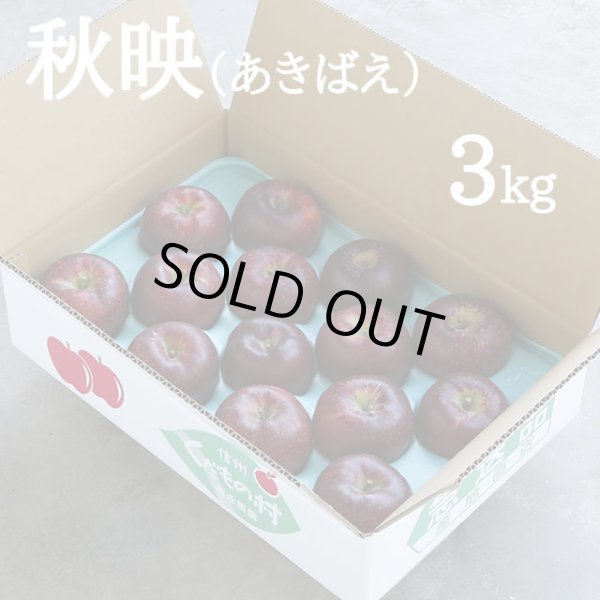 画像1: 秋映(あきばえ)約3kg (1)