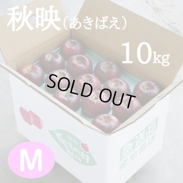 画像1: 秋映(あきばえ)約10kg: M (1)