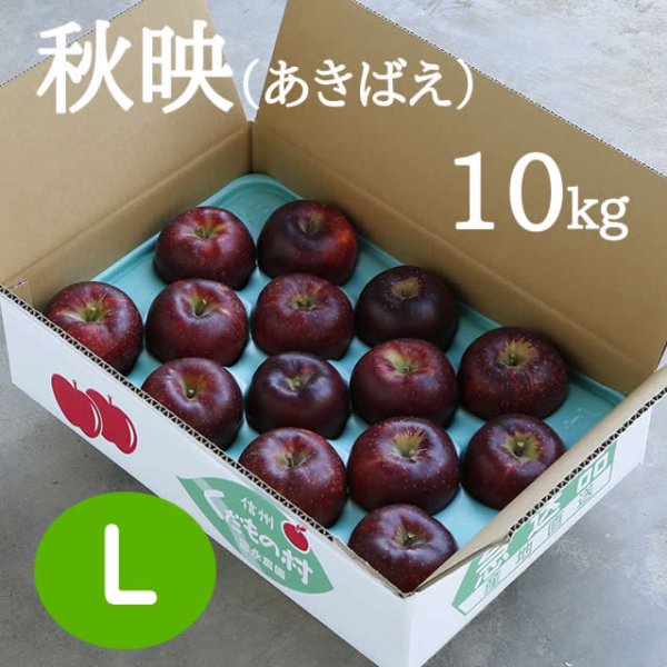 画像1: 秋映(あきばえ)約10kg: L (1)