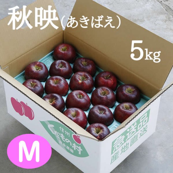 画像1: 秋映(あきばえ)約5kg: M (1)