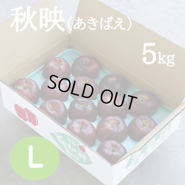 画像1: 秋映(あきばえ)5kg: L (1)