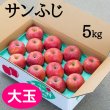 画像1: 贈答用サンふじ 5kg: 大玉 (1)