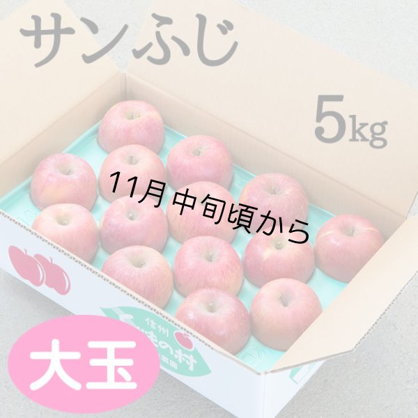 画像1: 贈答用サンふじ 5kg: 大玉 (1)