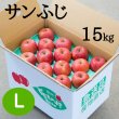 画像1: 贈答用サンふじ 15kg: Ｌ (1)