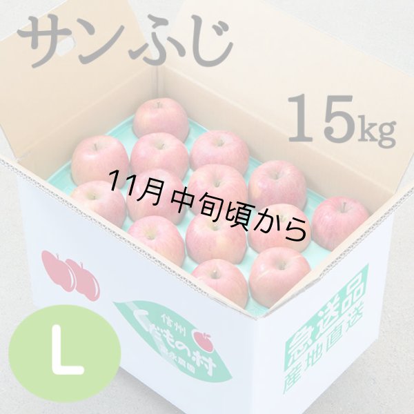 画像1: 贈答用サンふじ 15kg: Ｌ (1)