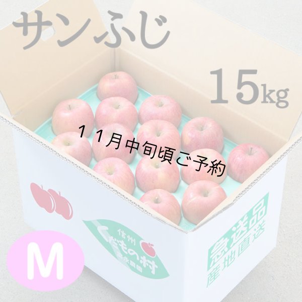 画像1: 贈答用サンふじ 15kg: Ｍ (1)